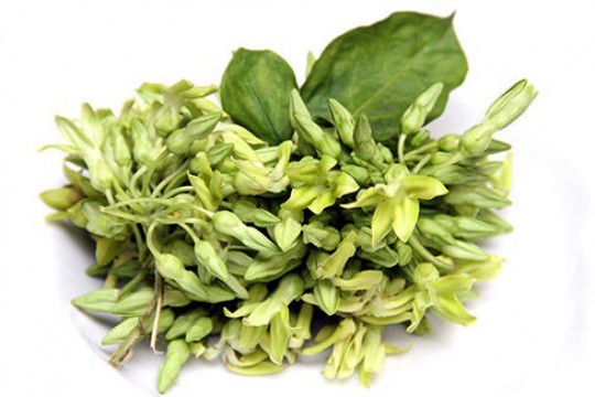 Hoa thiên lý: Món ăn bài thuốc thanh nhiệt, an thần, ngủ ngon